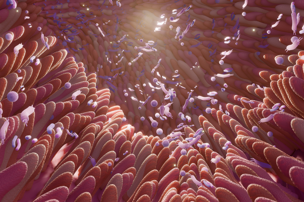 Diversity in the Gut: Why It Matters and How to Nurture It